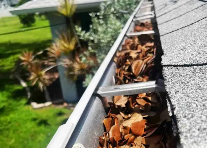 Shavano Park gutter cleaning home page